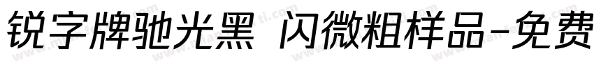 锐字牌驰光黑 闪微粗样品字体转换